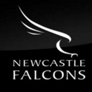 newcastle falcons